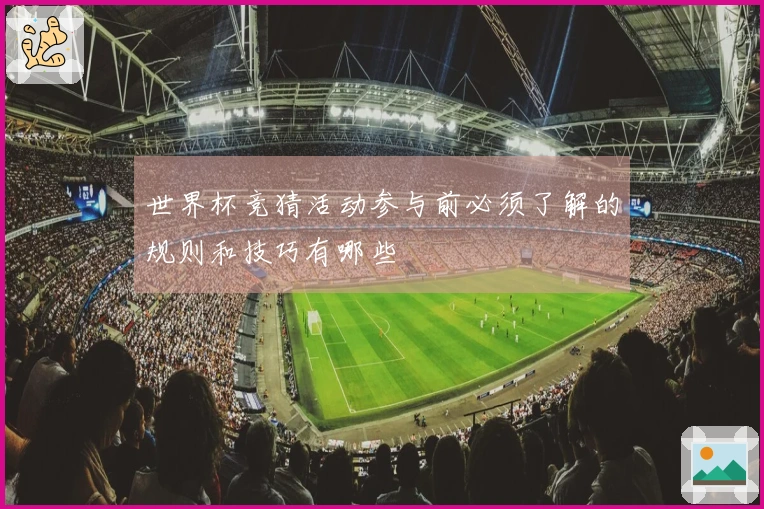 世界杯竞猜活动参与前必须了解的规则和技巧有哪些