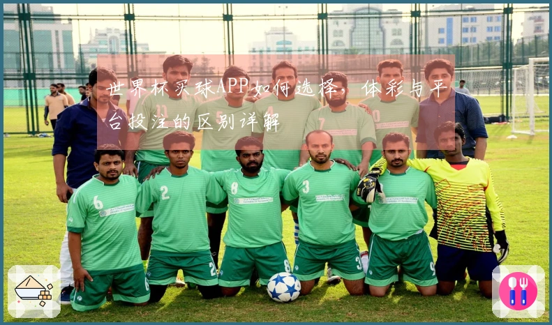 世界杯买球APP如何选择，体彩与平台投注的区别详解