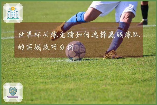 世界杯滚球竞猜分析：投注技巧与常见误区对比解读