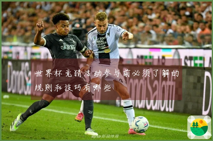 世界杯竞猜活动参与前必须了解的规则和技巧有哪些