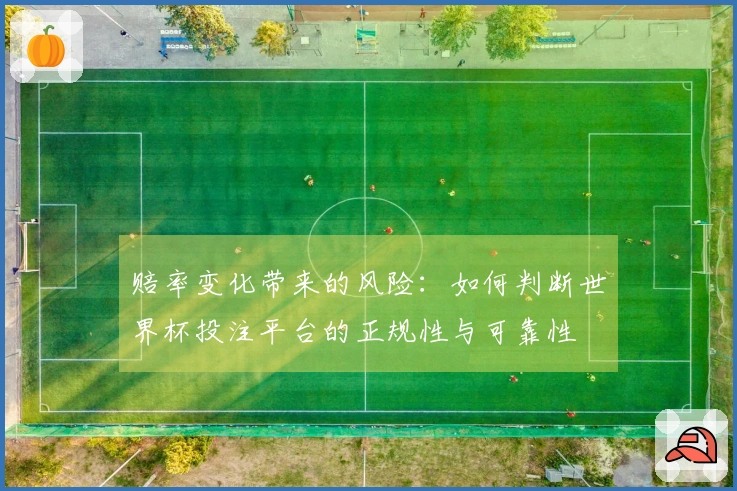 赔率变化带来的风险：如何判断世界杯投注平台的正规性与可靠性