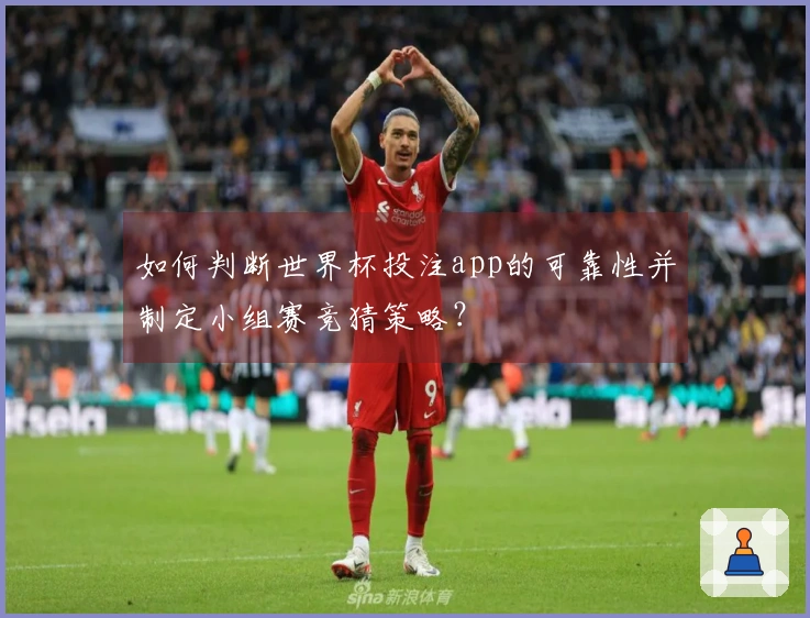 如何判断世界杯投注app的可靠性并制定小组赛竞猜策略？
