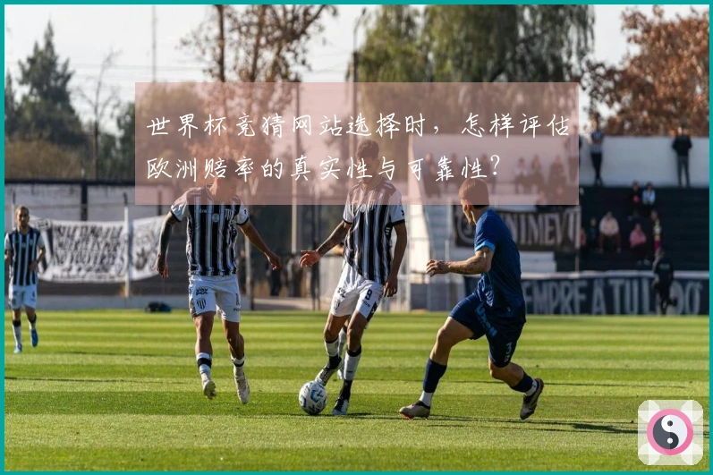 世界杯竞猜网站选择时，怎样评估欧洲赔率的真实性与可靠性？