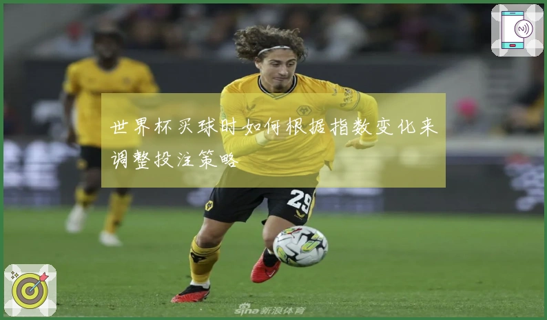 世界杯买球时如何根据指数变化来调整投注策略