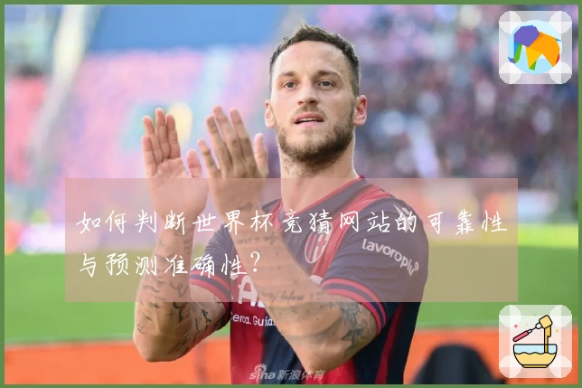 如何判断世界杯竞猜网站的可靠性与预测准确性？
