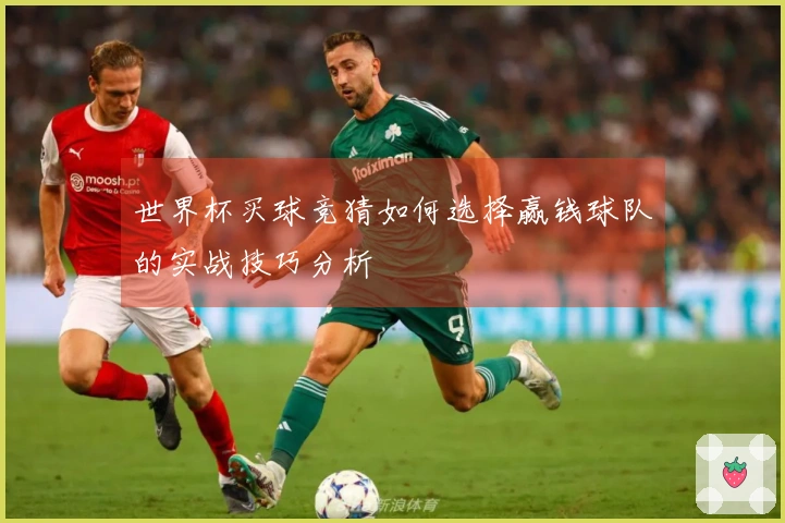 世界杯滚球竞猜分析：投注技巧与常见误区对比解读