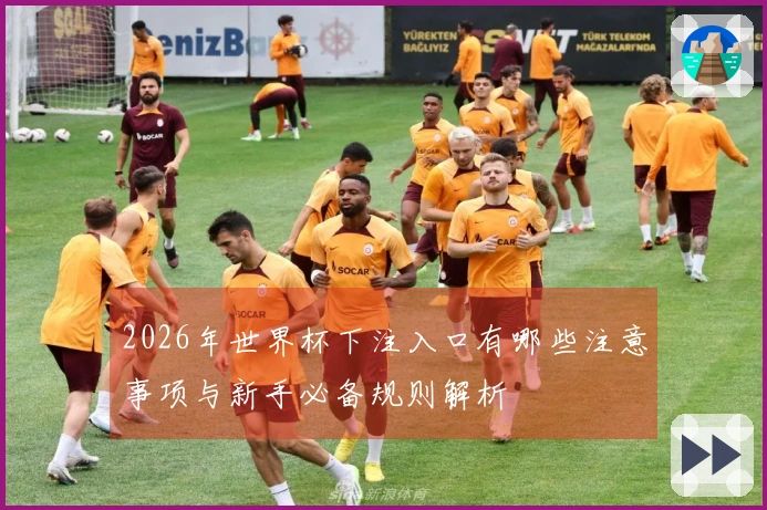 2026年世界杯下注入口有哪些注意事项与新手必备规则解析
