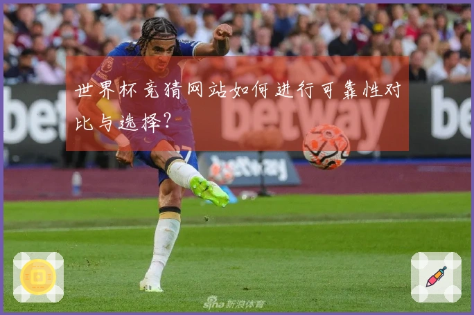 世界杯竞猜网站如何进行可靠性对比与选择？