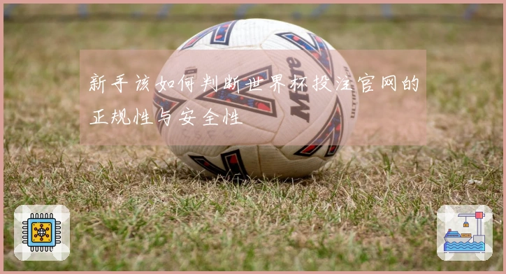 新手该如何判断世界杯投注官网的正规性与安全性