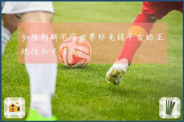 如何判断不同世界杯竞猜平台的正规性和可信度？