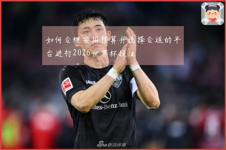 如何合理安排预算并选择合适的平台进行2026世界杯投注