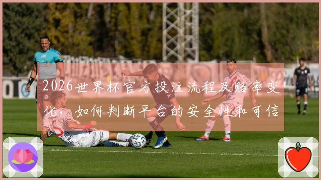 2026世界杯官方投注流程及赔率变化，如何判断平台的安全性和可信度