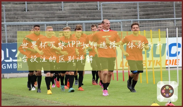 世界杯买球APP如何选择，体彩与平台投注的区别详解