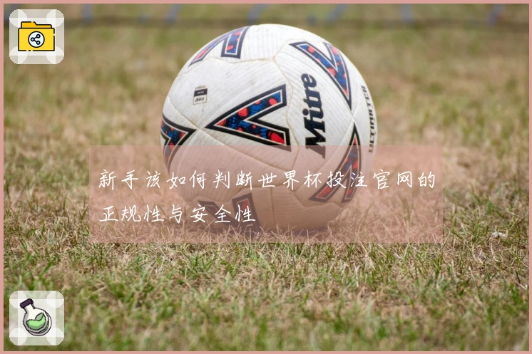 新手该如何判断世界杯投注官网的正规性与安全性